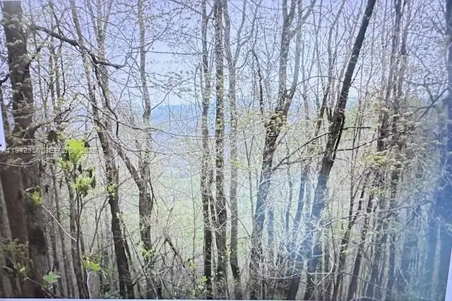 Great Sky Drive, Elk, NC  - #2