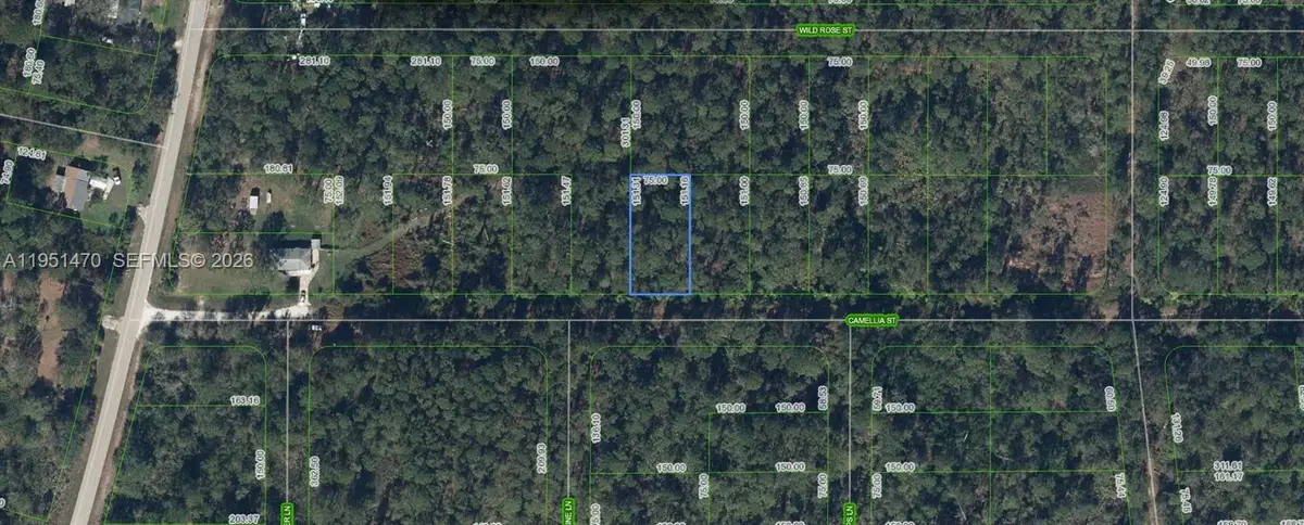 1412 Camellia Street, Lake Placid, FL 33852 - #1