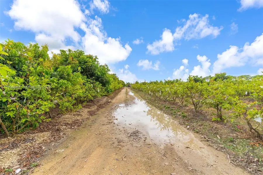 342xx SW 219 Avenue, Everglades, FL 33034 - #2