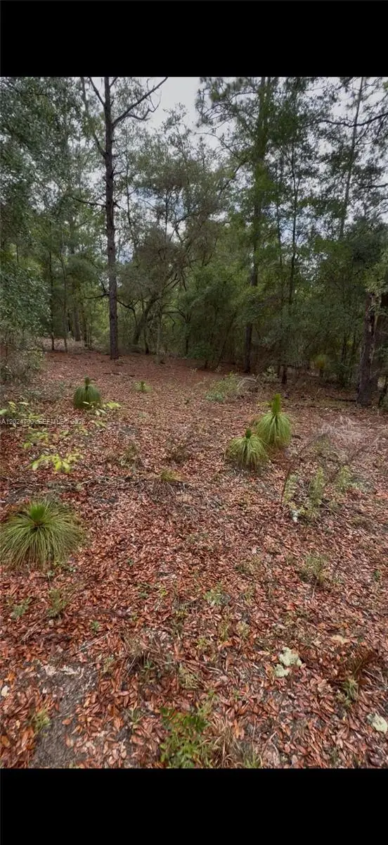 1373 SW 153rd Avenue, Ocala, FL 34481