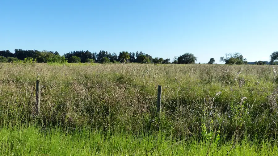 Tbd 3 Pineapple Lane, Fort Pierce, FL 34945 - #3