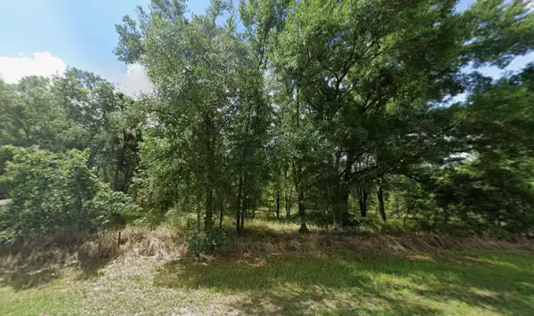 Tbd Sr 40, Dunnellon, FL 34432