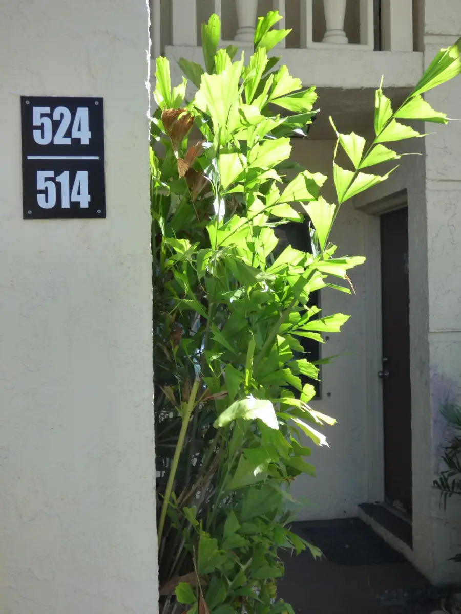 132 S South Cypress Road, Pompano Beach, FL 33060 - #3