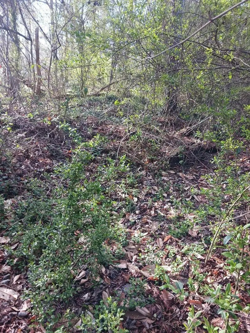 000 158 Lane, Dunnellon, FL 32024 - #1