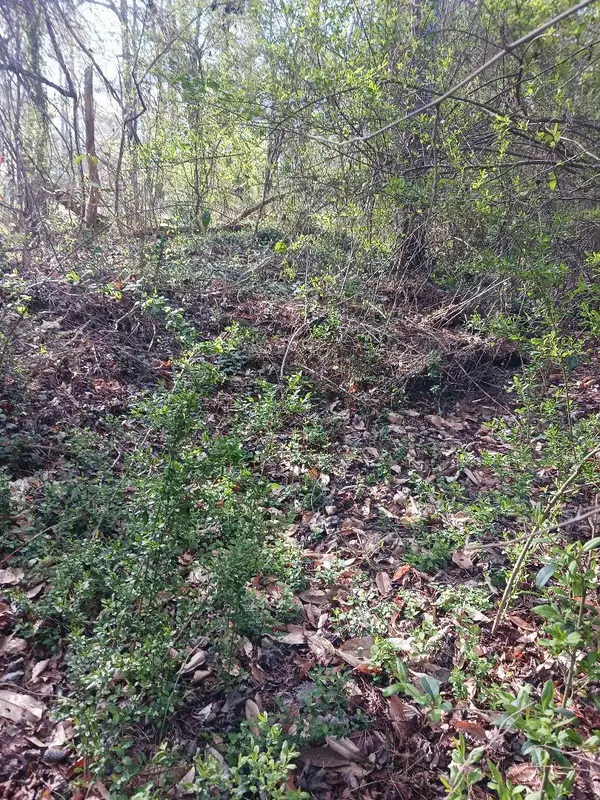 000 158 Lane, Dunnellon, FL 32024