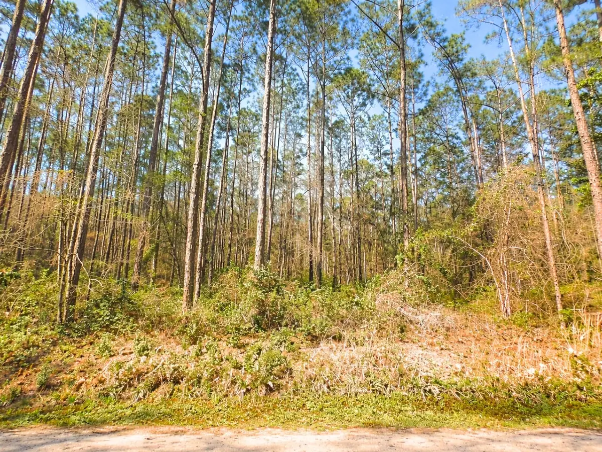 10675 Delgado Avenue, Hastings, FL 32145 - #1