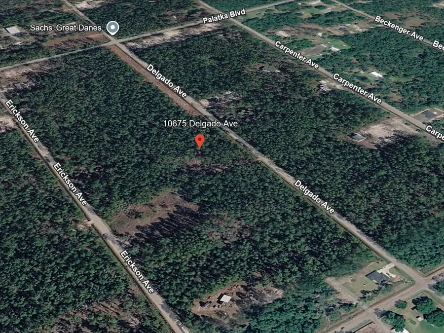 10675 Delgado Avenue, Hastings, FL 32145 - #2