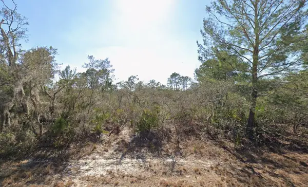 3235 S Dahlia Drive, Lake Placid, FL 33852