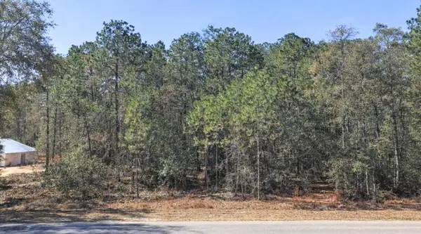 0000 SW Rainelle Road, Dunnellon, FL 34431