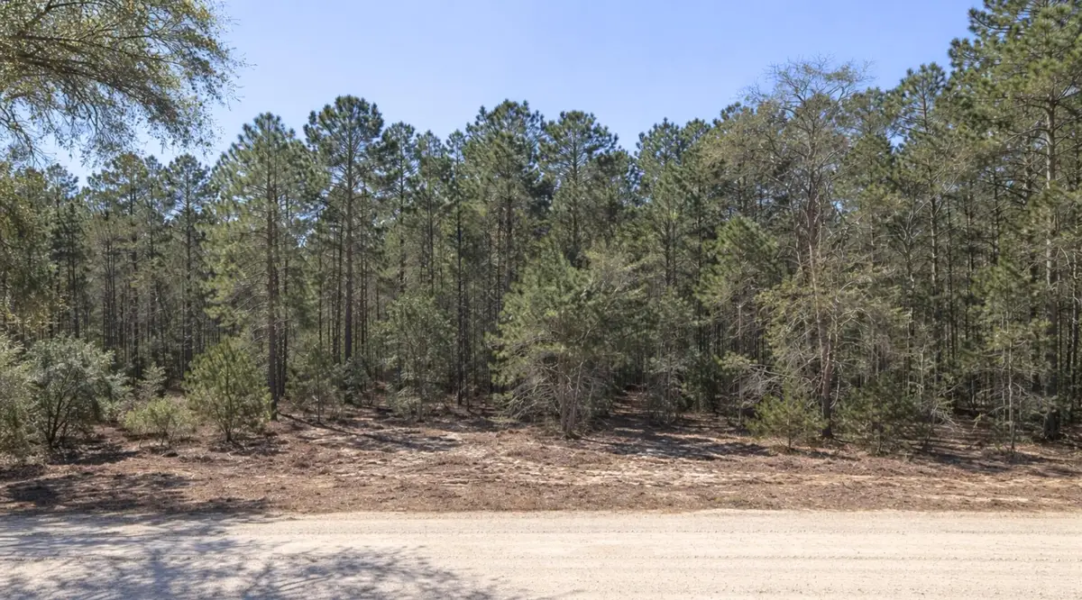 0000 SE 130th Court, Dunnellon, FL 34431 - #1