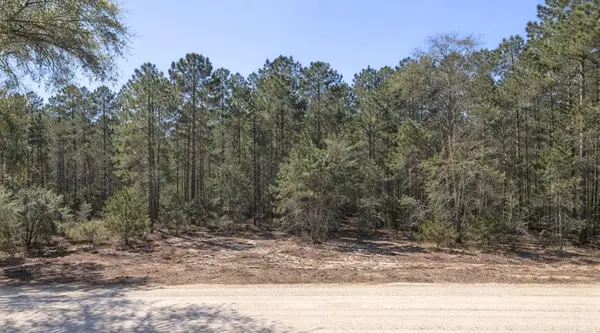 0000 SE 130th Court, Dunnellon, FL 34431