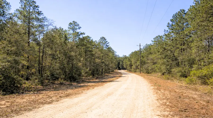 0000 SE 130th Court, Dunnellon, FL 34431 - #3