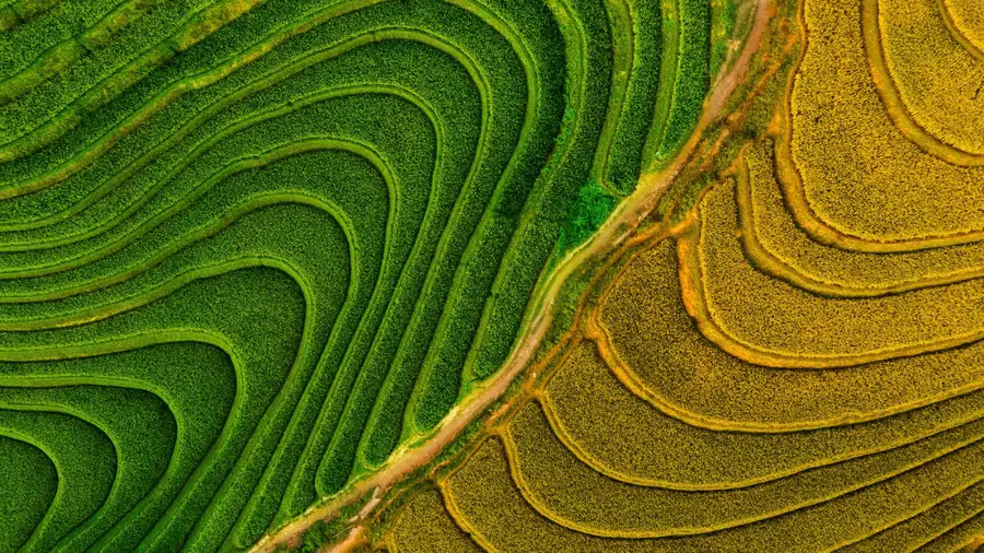 5131 SW 6th Court, Margate, FL 33068 - #2