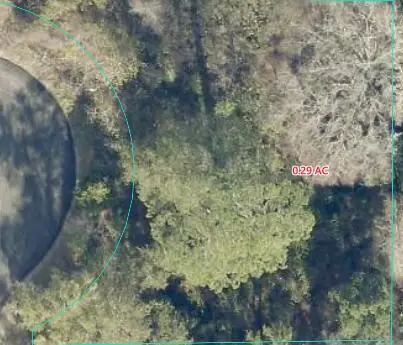 6 Locust Terrace Place, Ocala, FL 34472 - #3