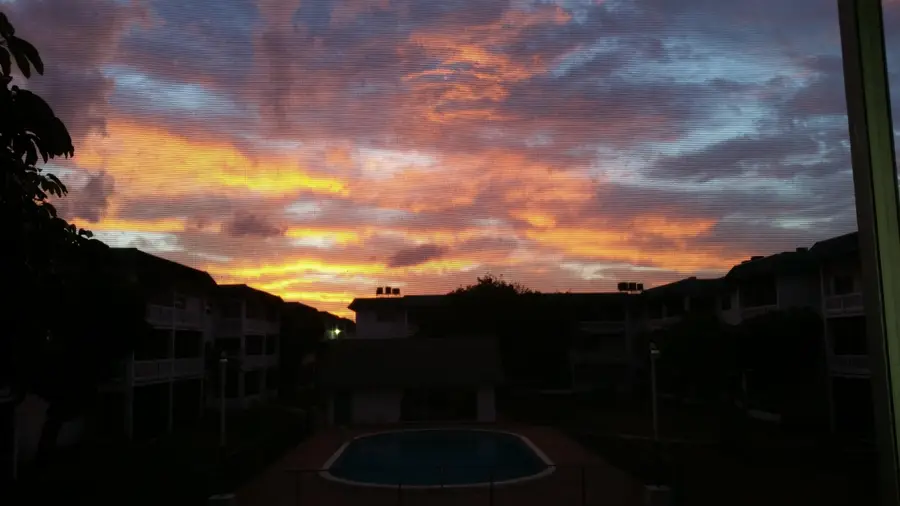 5861 NW 16th Place #201, Sunrise, FL 33313 - #3