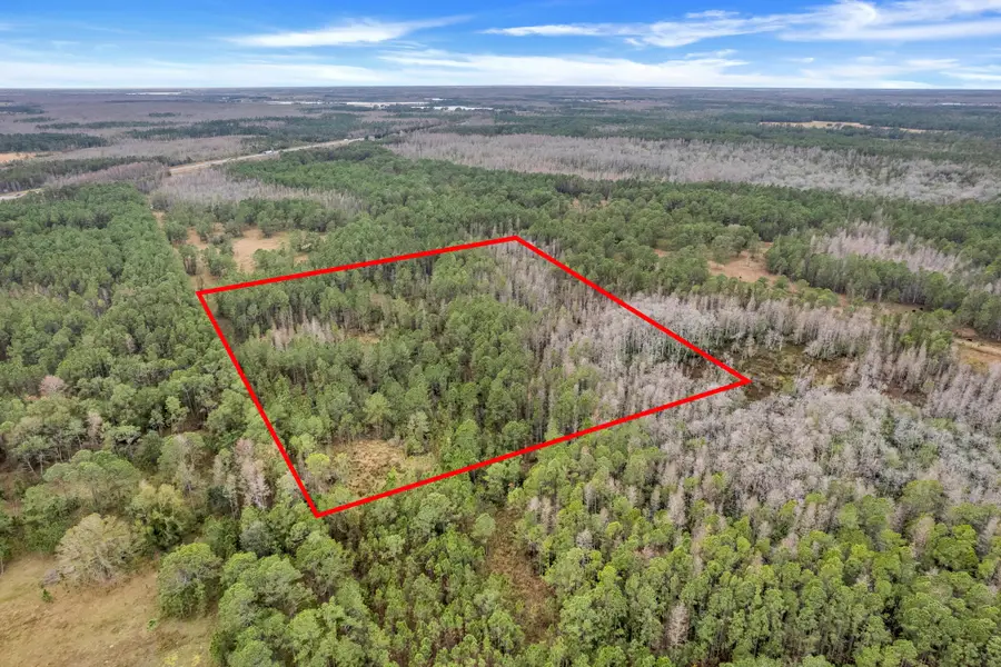 000 No Street, Polk City, FL 33868 - #3