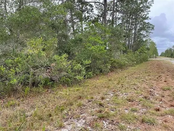 0 Bougainvillea Drive, Indian Lake Estates, FL 