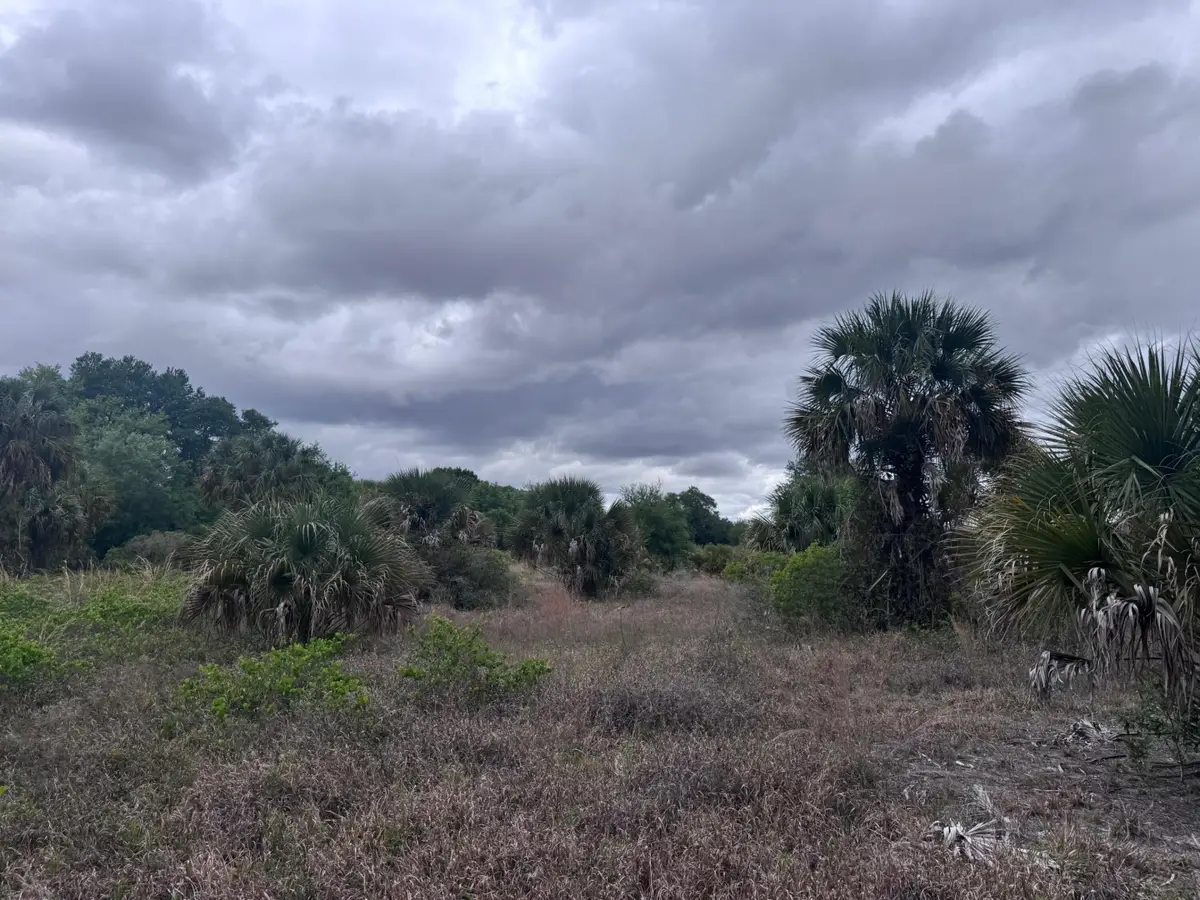 18333 NW 308th Street, Okeechobee, FL 34972 - #1