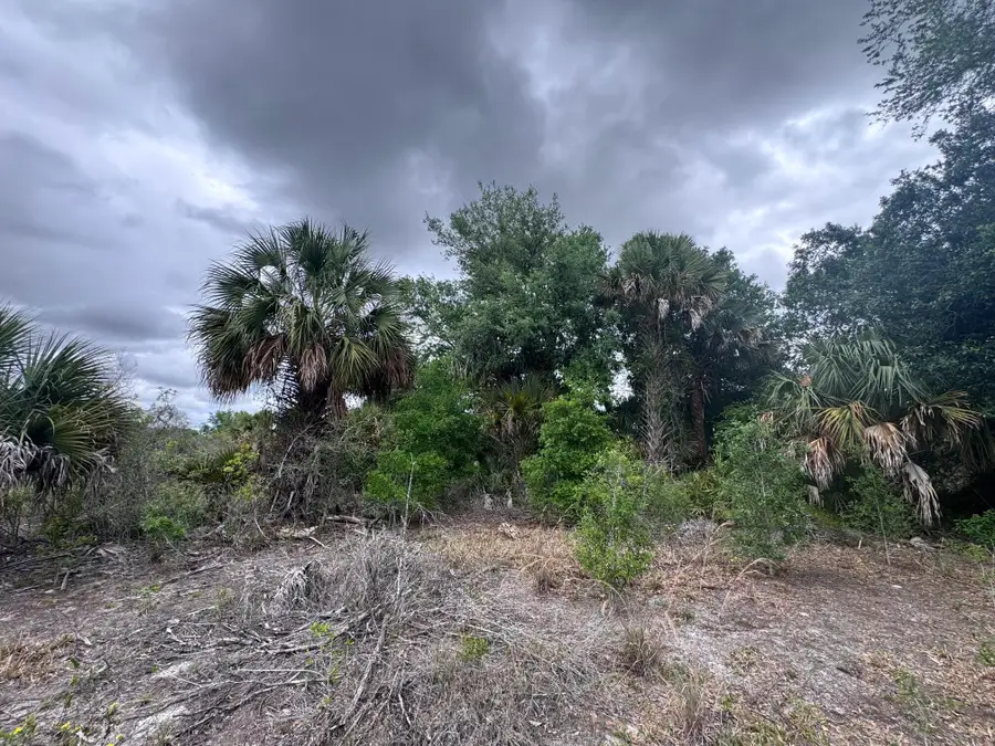 18333 NW 308th Street, Okeechobee, FL 34972 - #3