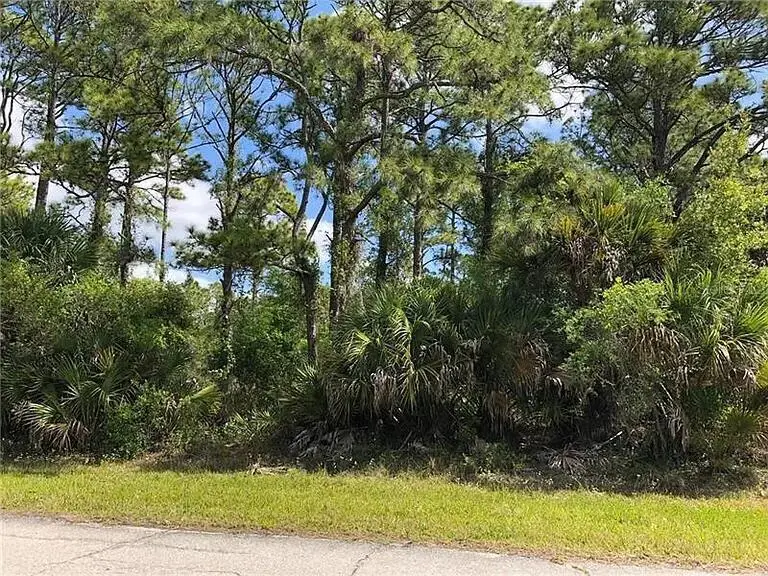 15138 Carousel Lane, Port Charlotte, FL 33953 - #1