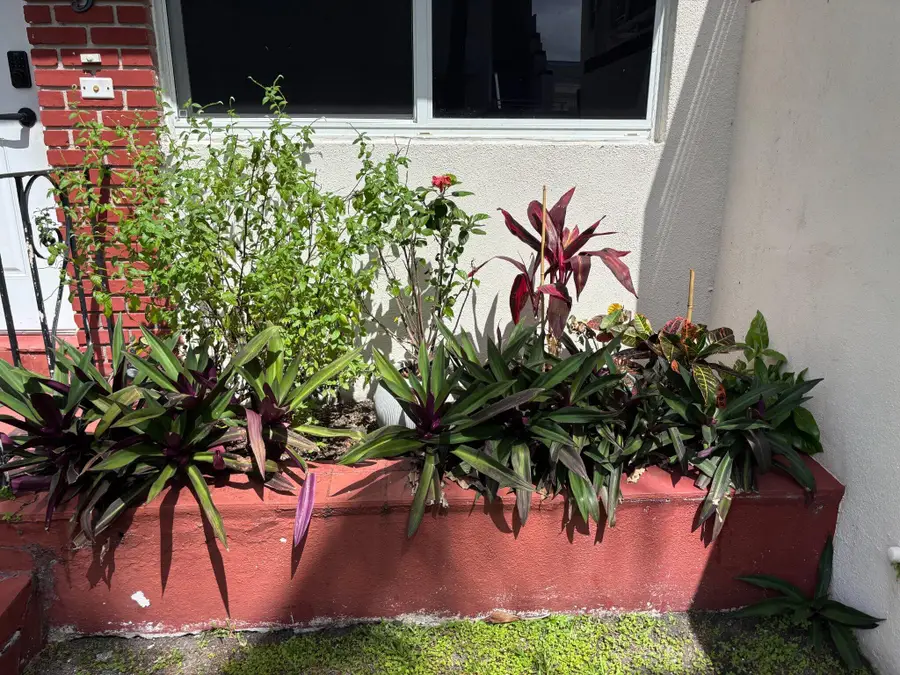 1195 Marseille Drive #5, Miami Beach, FL 33141 - #3