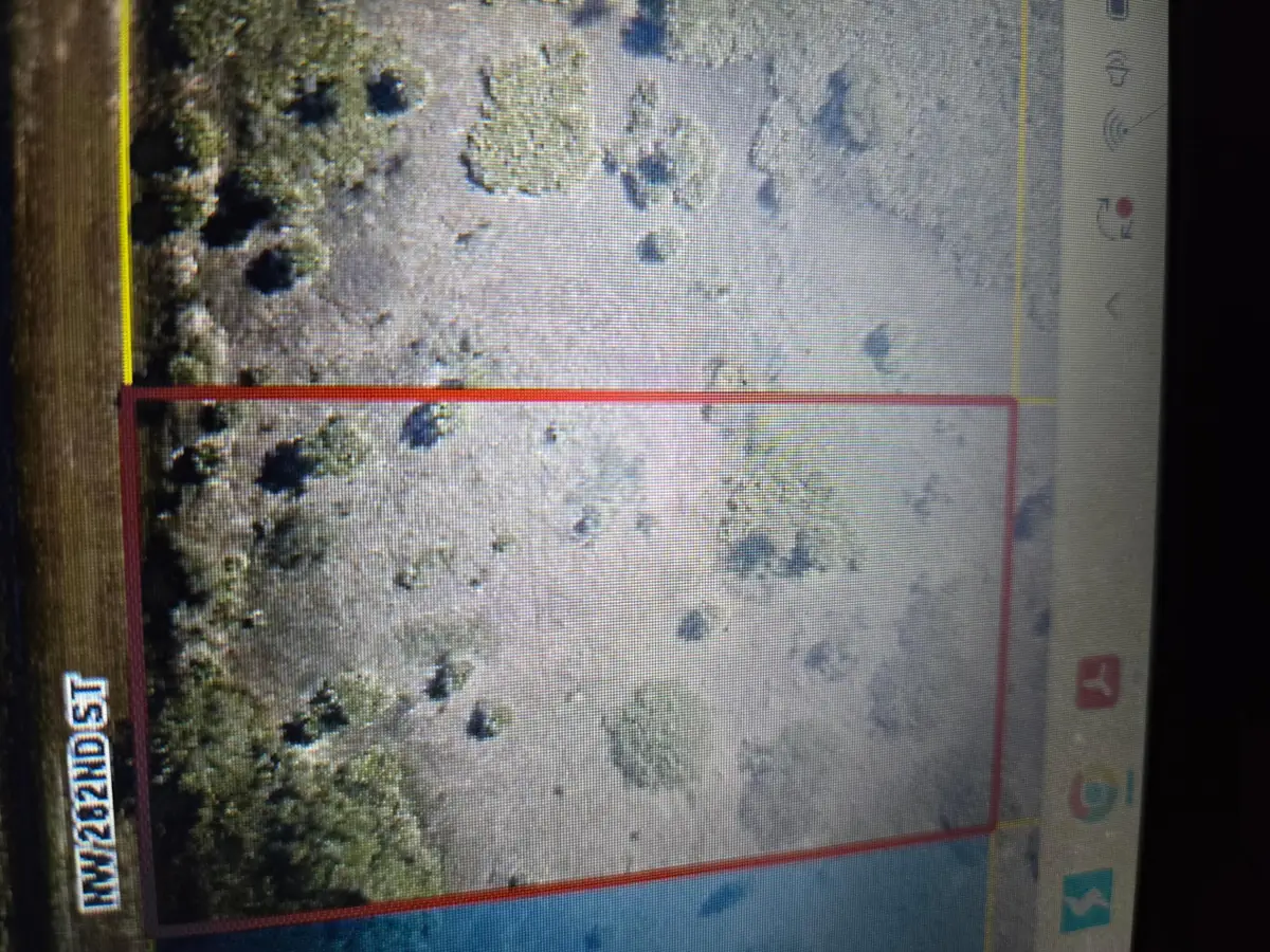 20224 NW 282nd Street, Okeechobee, FL 34972 - #1