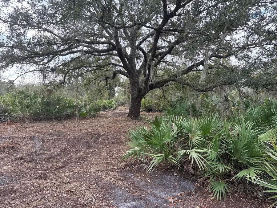 0 NW 290th Street, Okeechobee, FL 34972 - #3