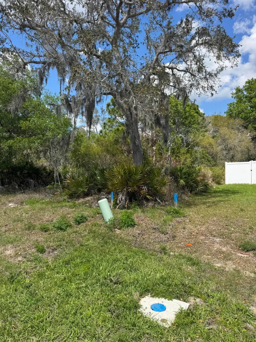 1625 Pickerel Court, Poinciana, FL 34759 - #3