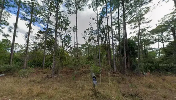 1210 Raphia Street E, Lehigh Acres, FL 33974