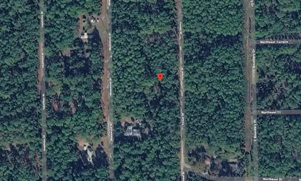 143 Forest Street, Georgetown, FL 32139