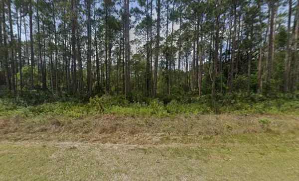 141 E Boundary Drive, Georgetown, FL 32139