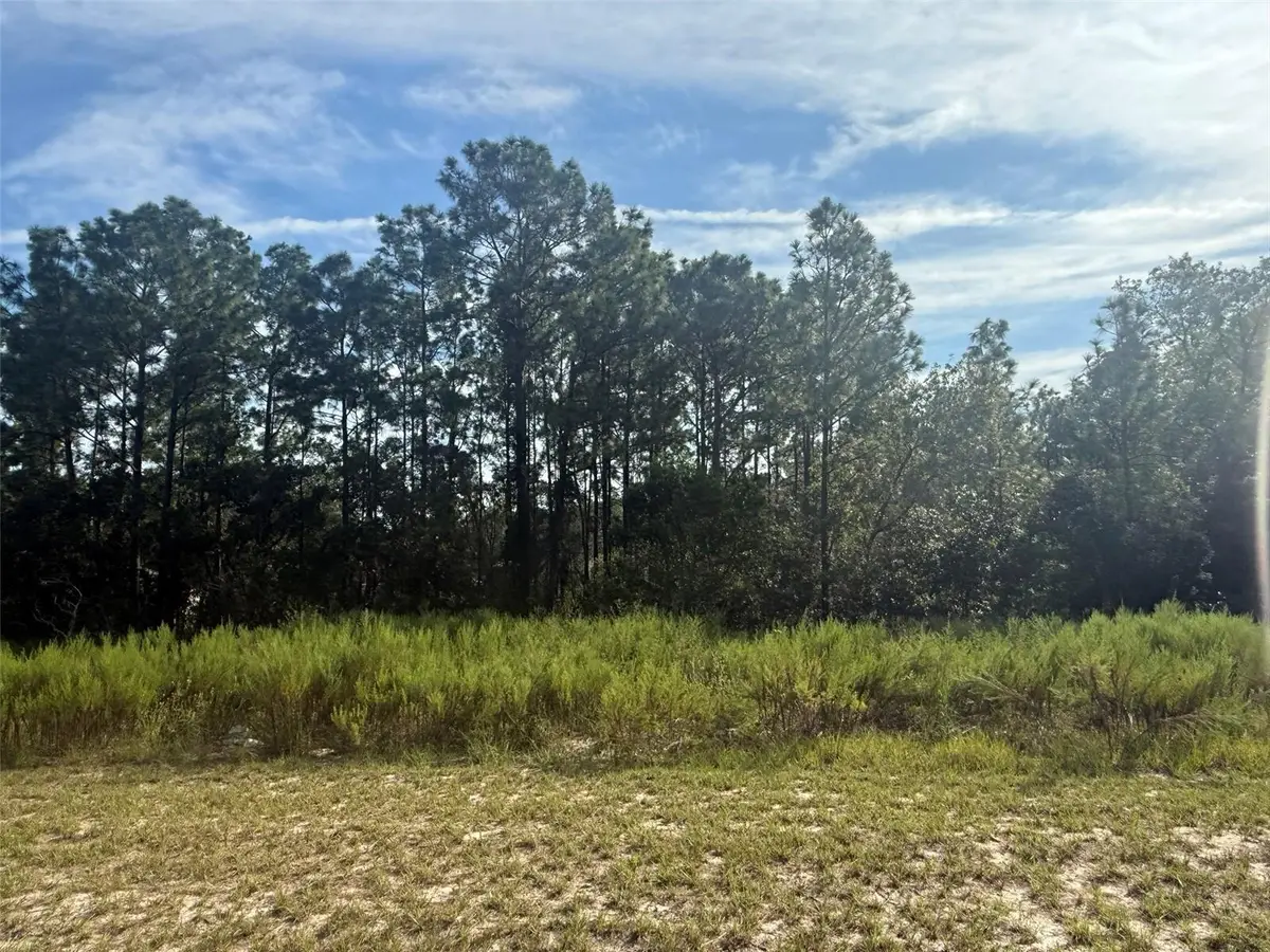 Tbd 135th St Road, Ocala, FL 34473 - #1