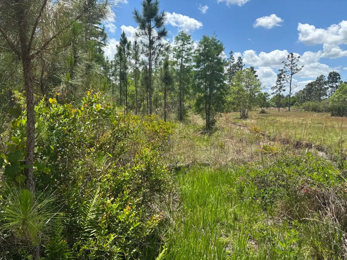 0 Holopaw Groves Road, Saint Cloud, FL 34772 - #1