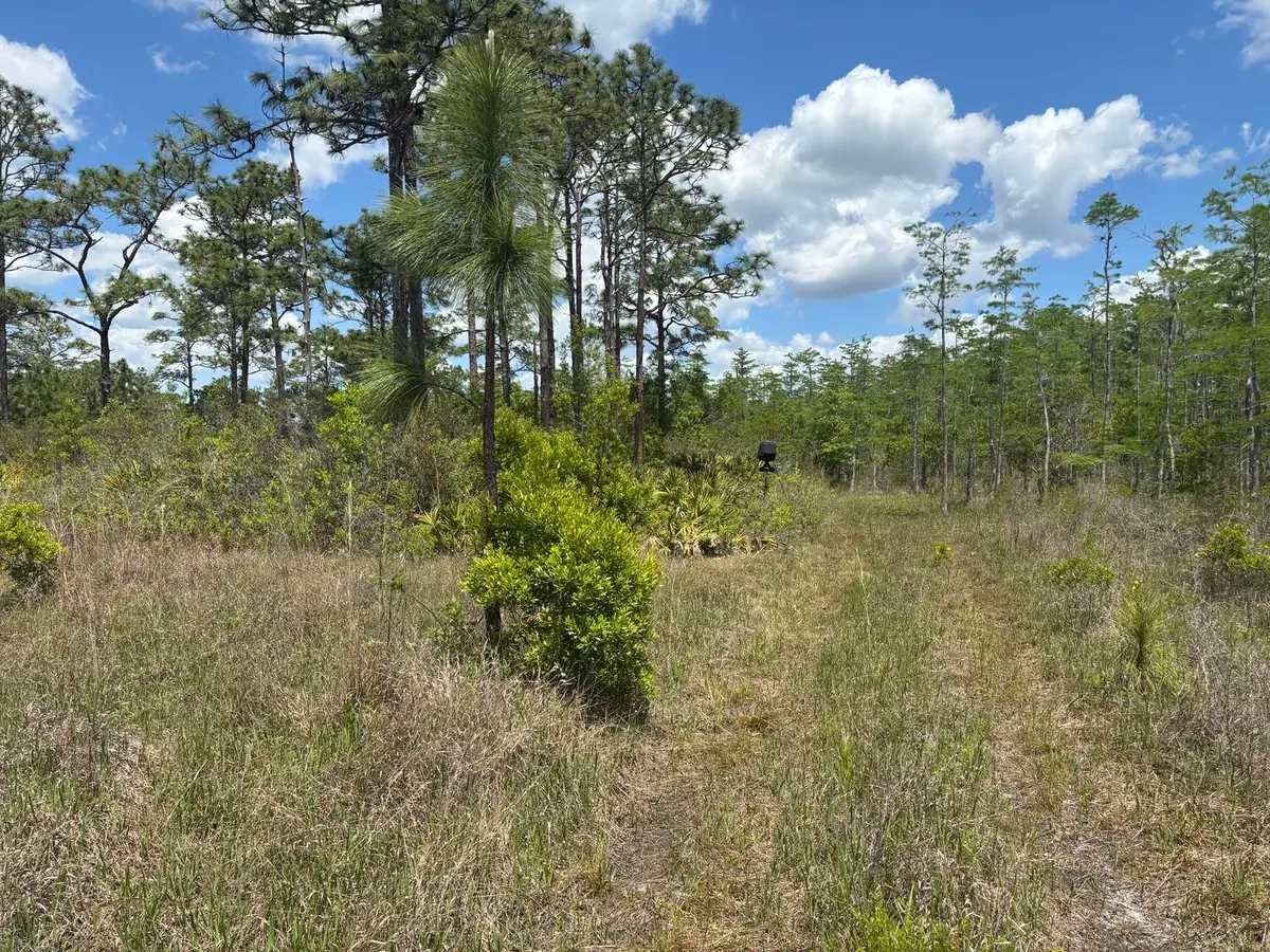 0 Holopaw Groves Road, Saint Cloud, FL 34772 - #1