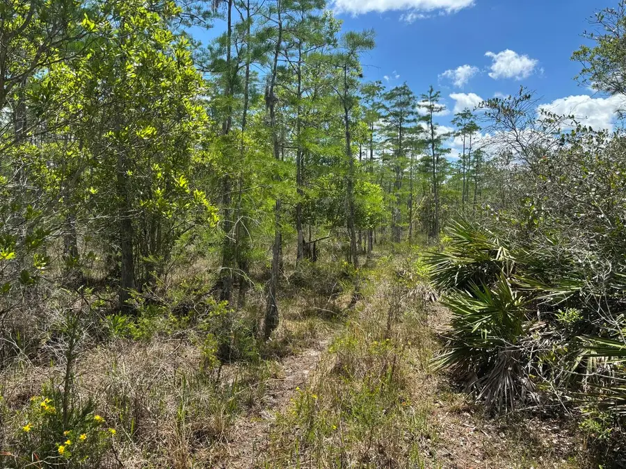 0 Holopaw Groves Road, Saint Cloud, FL 34772 - #2