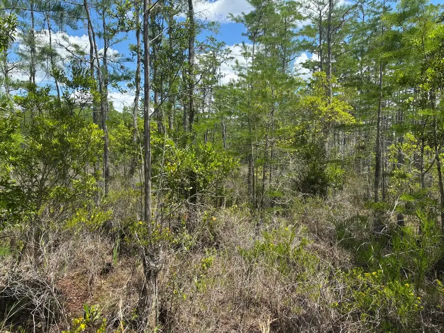 0 Holopaw Groves Road, Saint Cloud, FL 34772 - #3