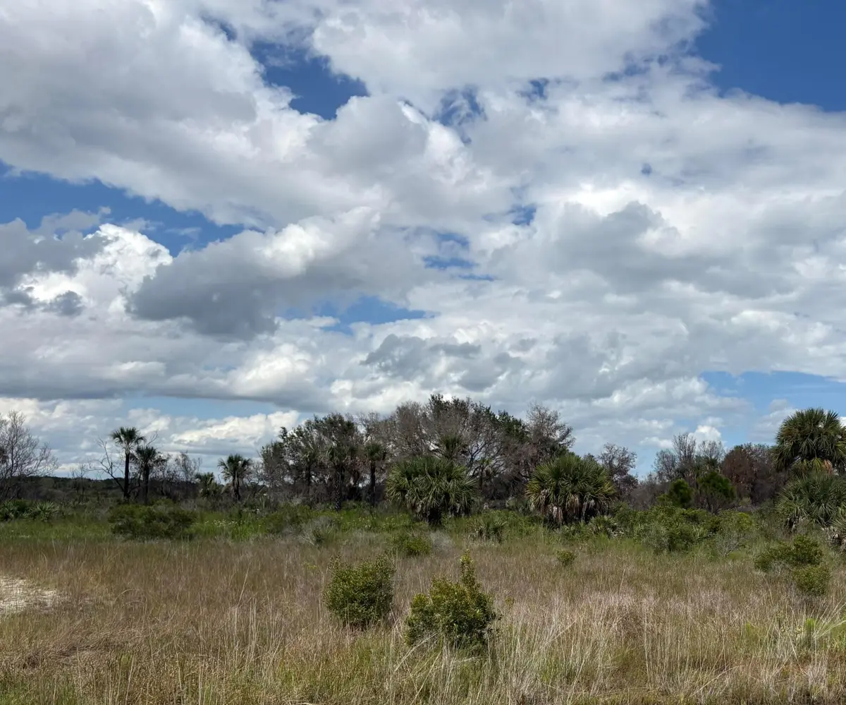 17275 NW 308th Street, Okeechobee, FL 34972 - #1