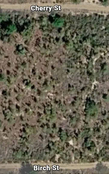 000 Unassigned Location, Interlachen, FL 32148 - #1