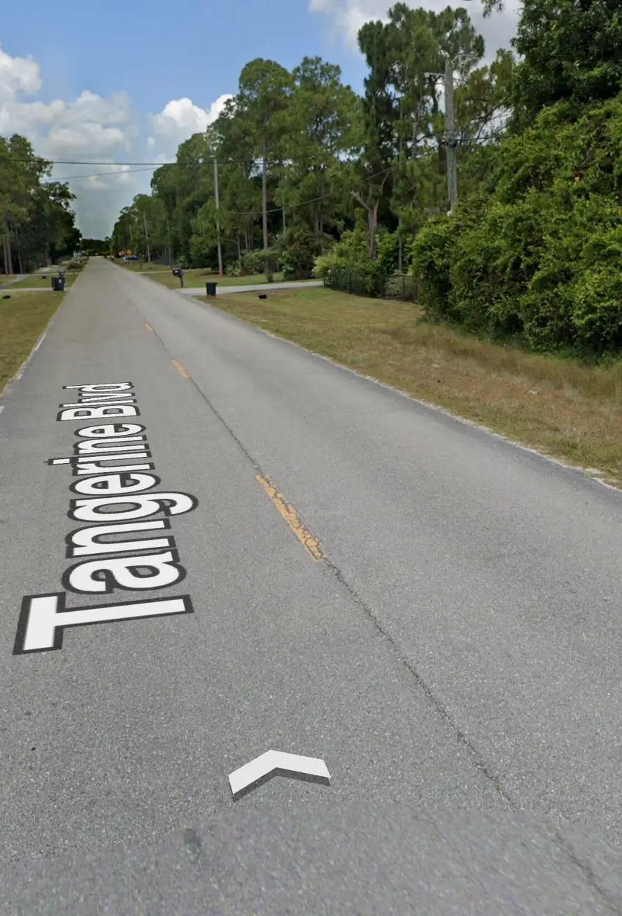 Xxxxx Tangerine Boulevard, The Acreage, FL 33470 - #2
