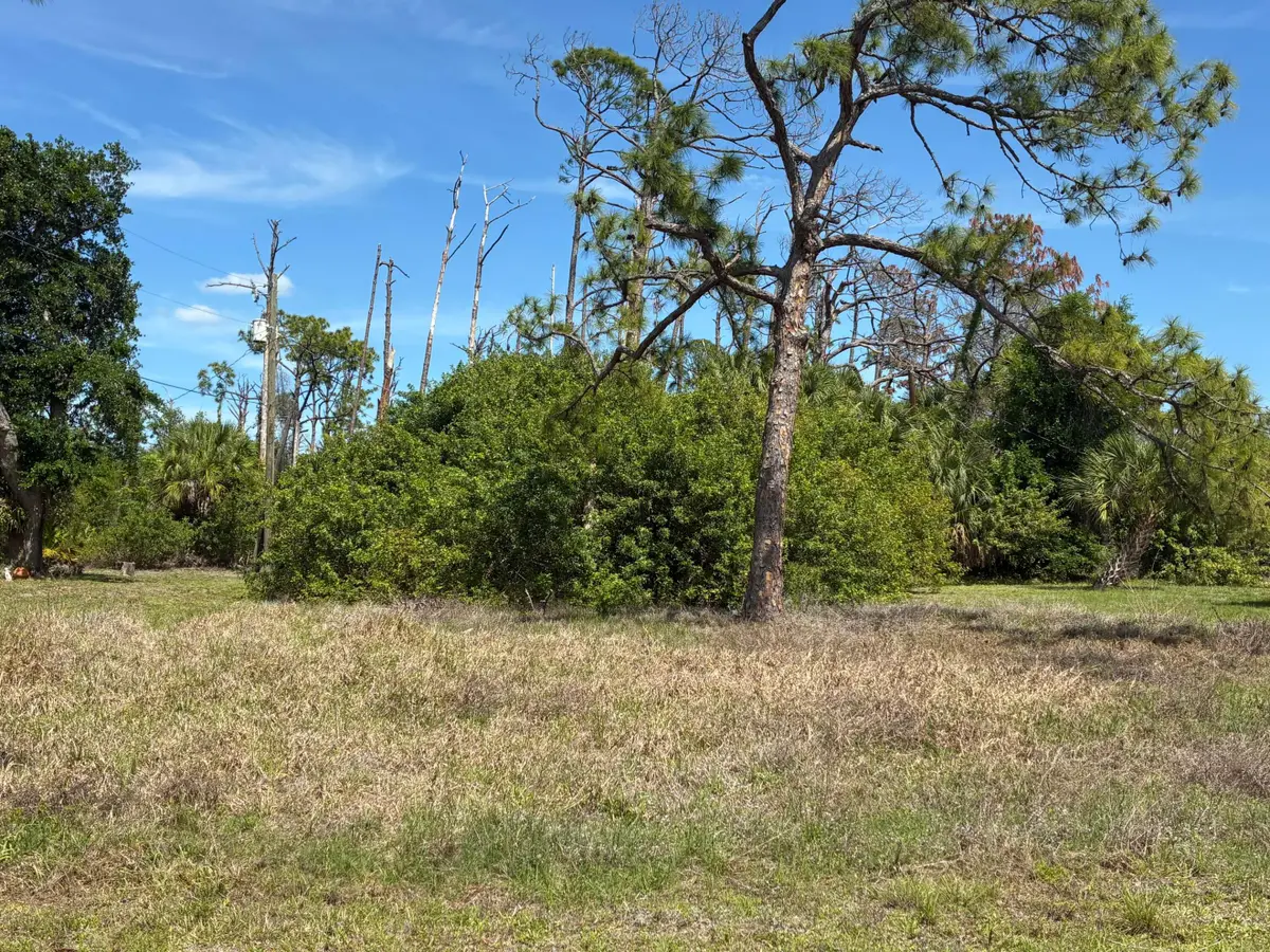 480 Longley Drive, Port Charlotte, FL 33953 - #1