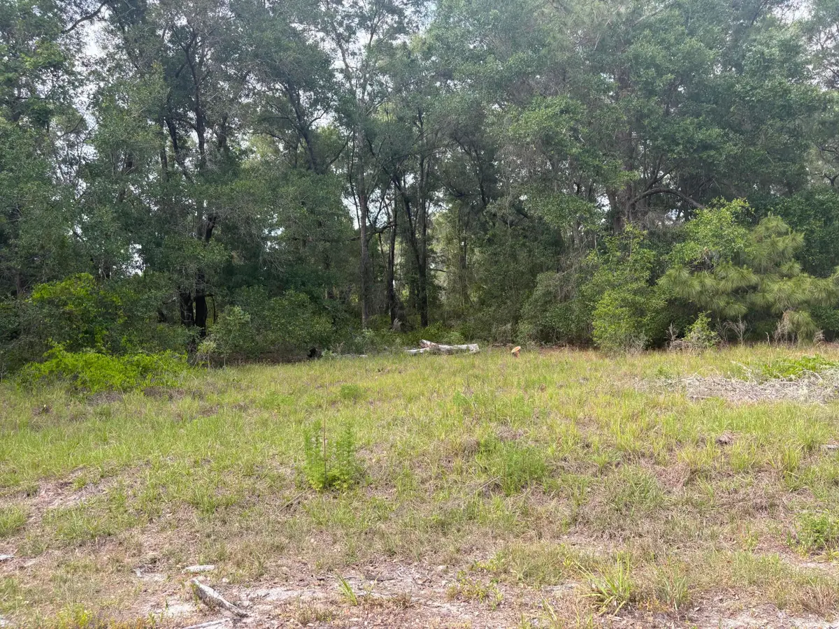 Tbd Locust Drive Court, Ocala, FL  - #1