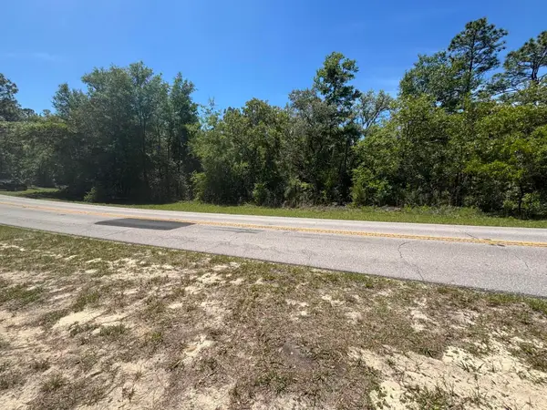 3334 N Annapolis Avenue, Hernando, FL 34442