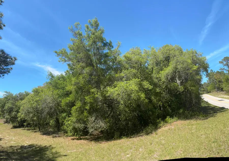 3334 N Annapolis Avenue, Hernando, FL 34442 - #3