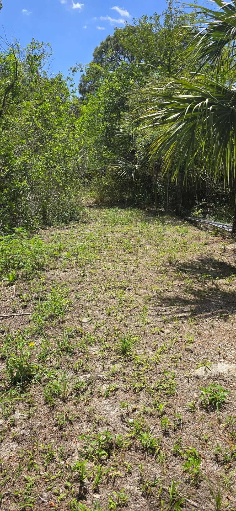 4612 Windmill Road, Loxahatchee, FL 33470 - #3