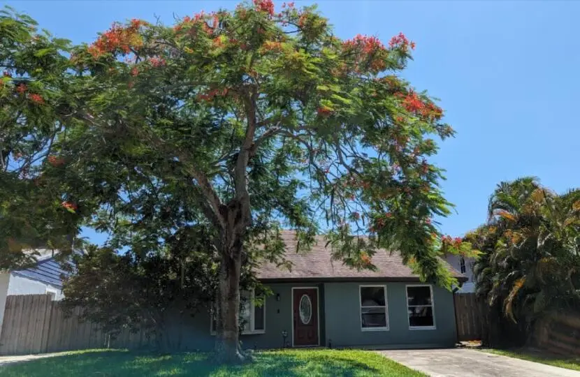 2394 Zeder Avenue, Delray Beach, FL 33444 - #1