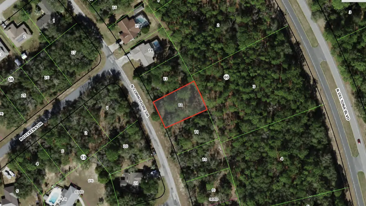 9119 N Commodore Drive, Citrus Springs, FL 34434 - #1