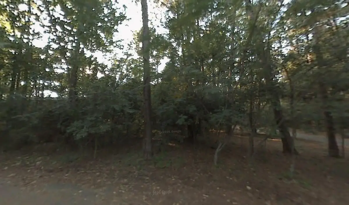 304 Wood Grove Court, Tallahassee, FL 32301 - #1