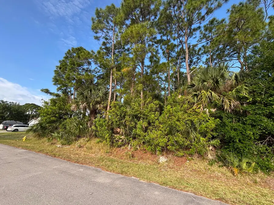 556 NE Burlington Ave Avenue Ne, Palm Bay, FL 32907 - #3