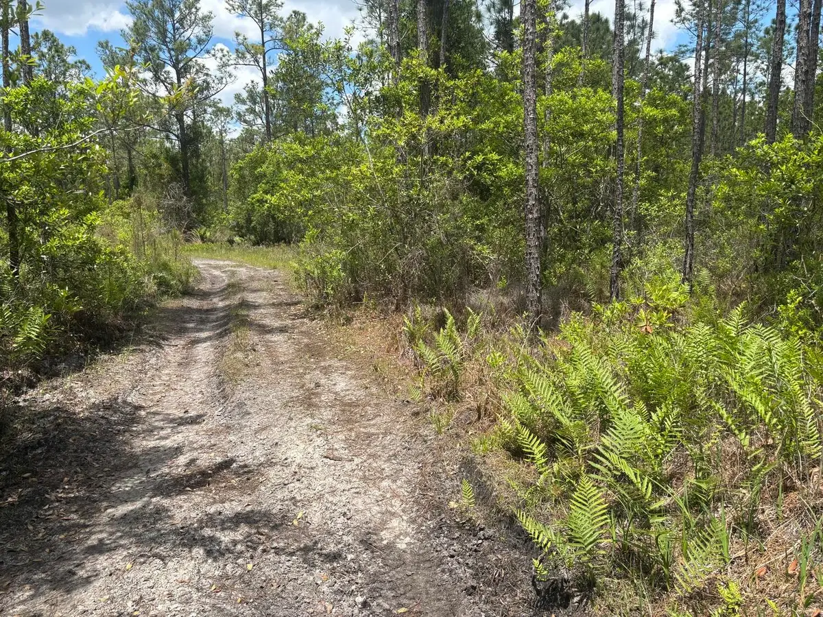 0 Holopaw Groves Road, Saint Cloud, FL 34772 - #1