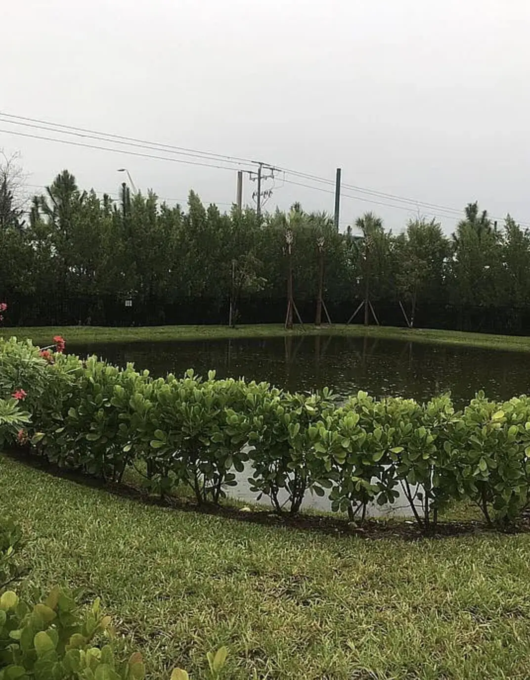 176 Osprey Preserve Boulevard, Jensen Beach, FL 34957 - #1